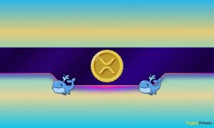 Read more about the article Critical XRP Metric Reaches New Record: What Does it Mean for Ripple’s Price?