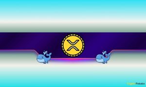 Read more about the article 900,000,000 XRP Bought in a Month: What Do Ripple Whales Know?