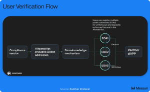 Read more about the article Panther Protocol: Advancing Privacy-Preserving DeFi