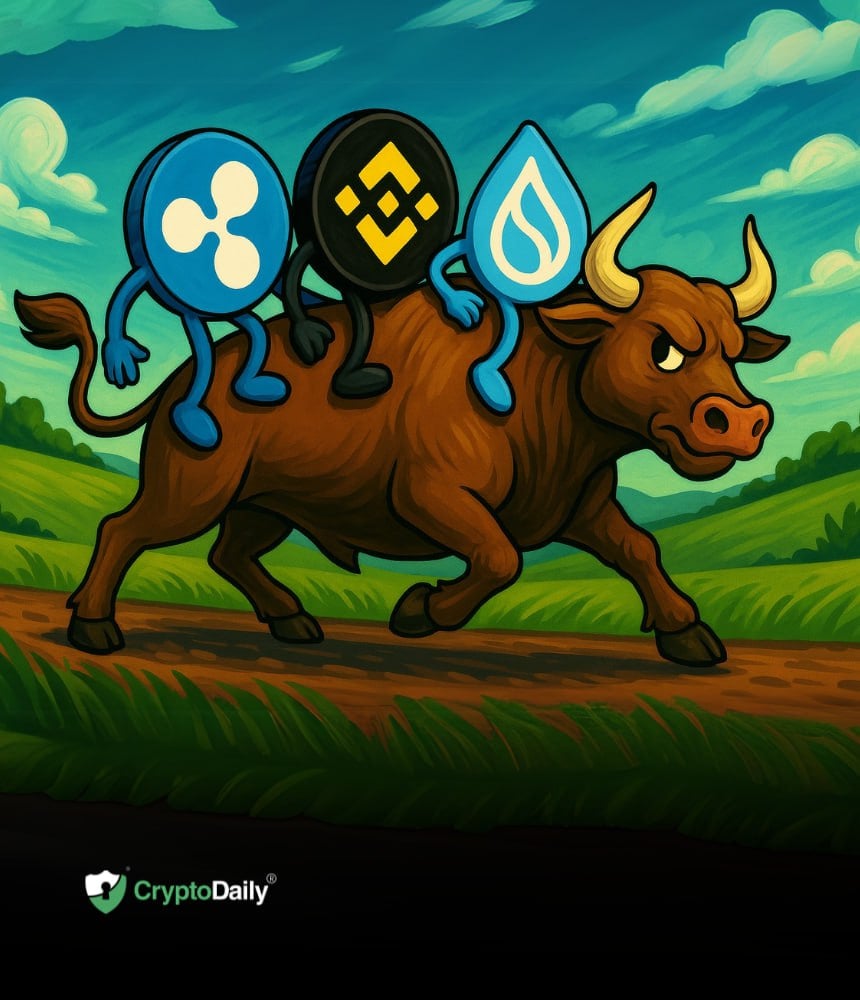 You are currently viewing The best altcoin charts for this bull market: Ripple (XRP), Binance Coin (BNB), and Sui (SUI)