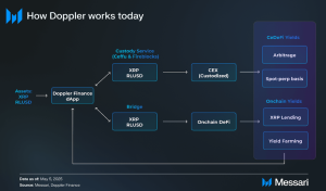 Read more about the article Doppler Finance: Bringing CeDeFi Back in Style