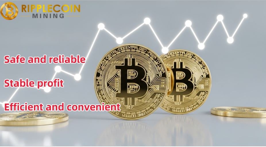 Read more about the article Easily Earn $8,000 a Day – Bitcoin (BTC) Holders Flock