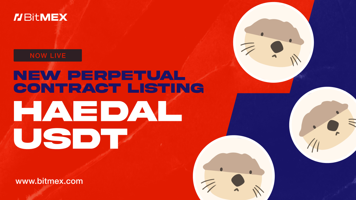 Read more about the article Now Live: HAEDALUSDT Perpetual Swap Listing With Up to 50x Leverage