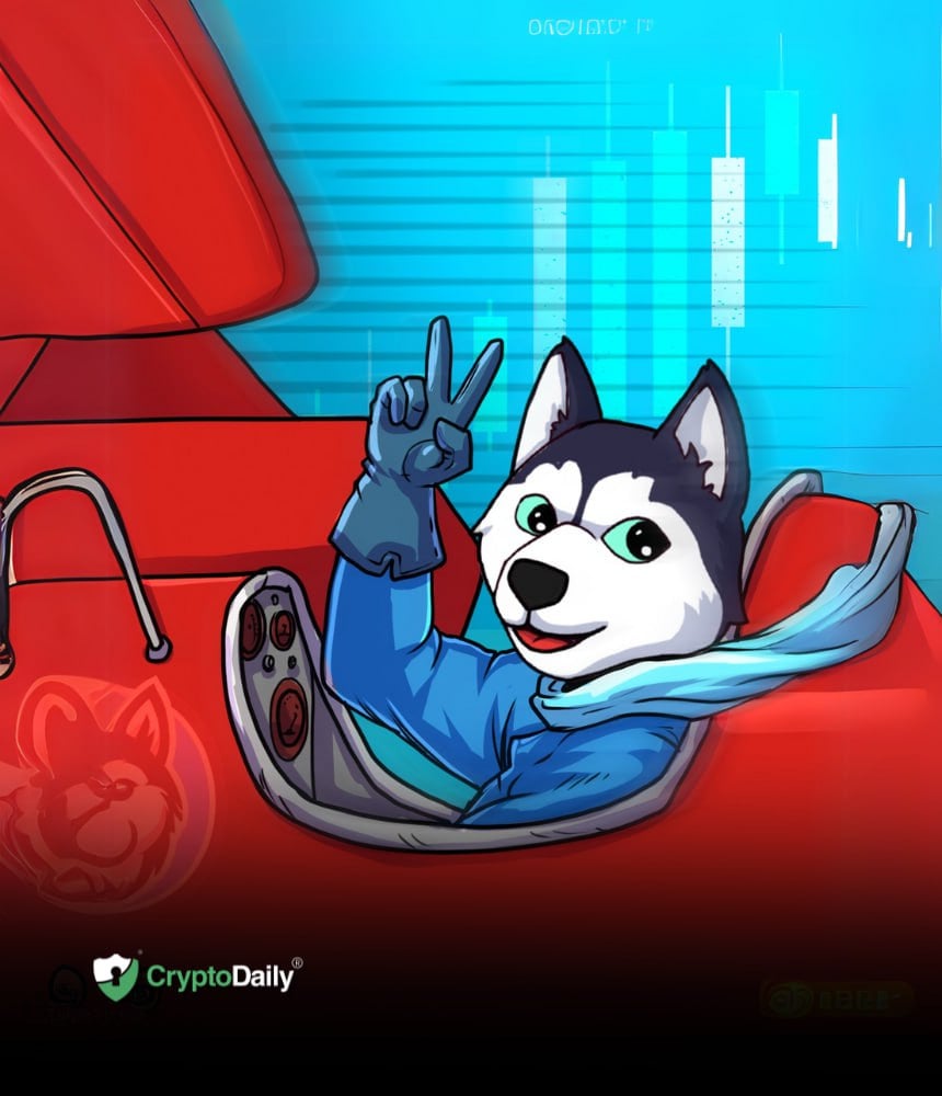 You are currently viewing How Is Husky Inu (HINU)’s Pre-Launch Phase Progressing?