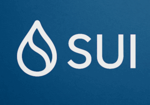 You are currently viewing Sui Price Prediction — Best Crypto To Buy On The Dip?