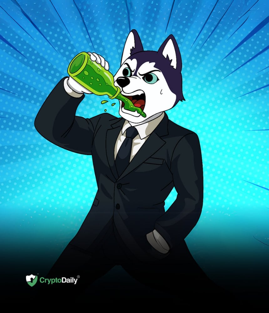 You are currently viewing Husky Inu (HINU) vs Trump (TRUMP): How Do The Two Stack Up?