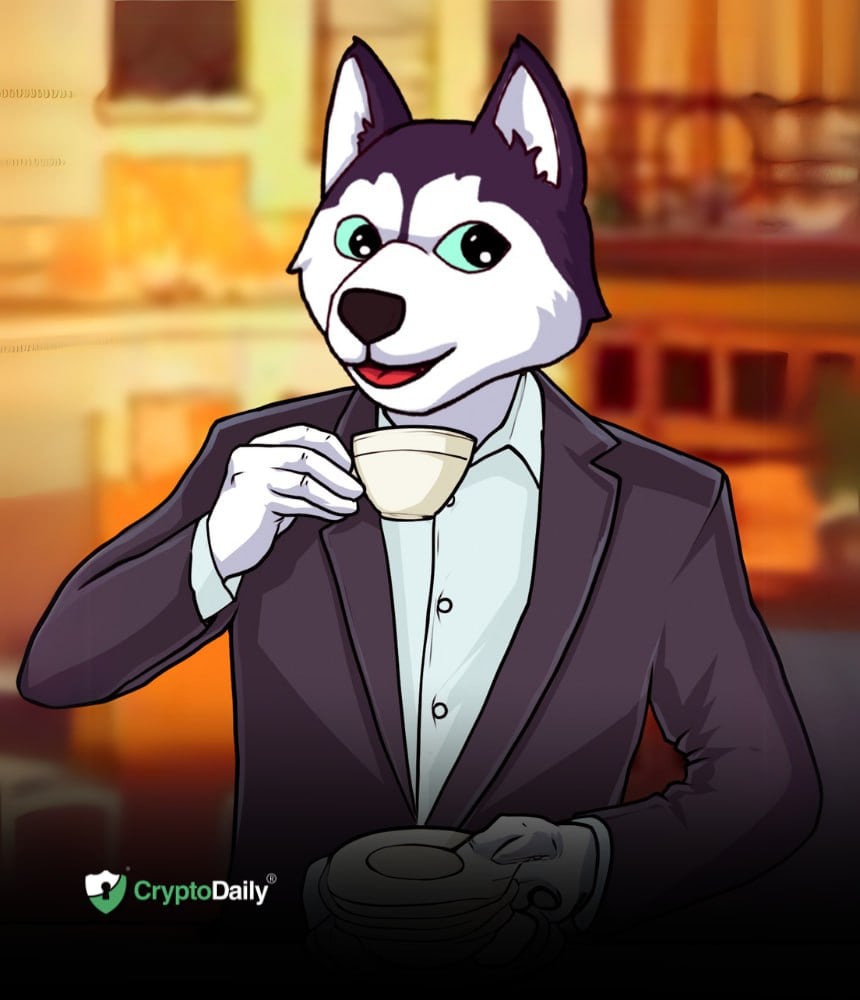 You are currently viewing Husky Inu (HINU) Set For Price Jump As Markets Rally