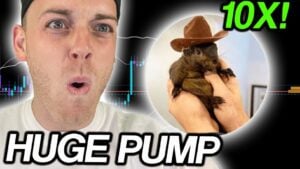 Read more about the article $PNUT Rally Goes Parabolic With 91% Weekly Surge: Can It Hit $1 Billion Market Cap?