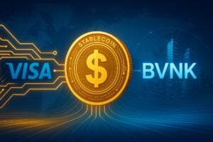 Read more about the article Visa focuses on stablecoin: strategic investment in BVNK to revolutionize global payments