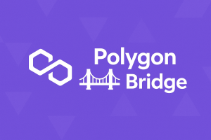 Read more about the article How Does Polygon Bridge Work? A step-by-step Guide to Cross-Chain Transfers