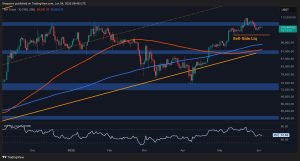 Read more about the article Bitcoin Price Analysis: Is BTC Poised to Retest the $100K Support?