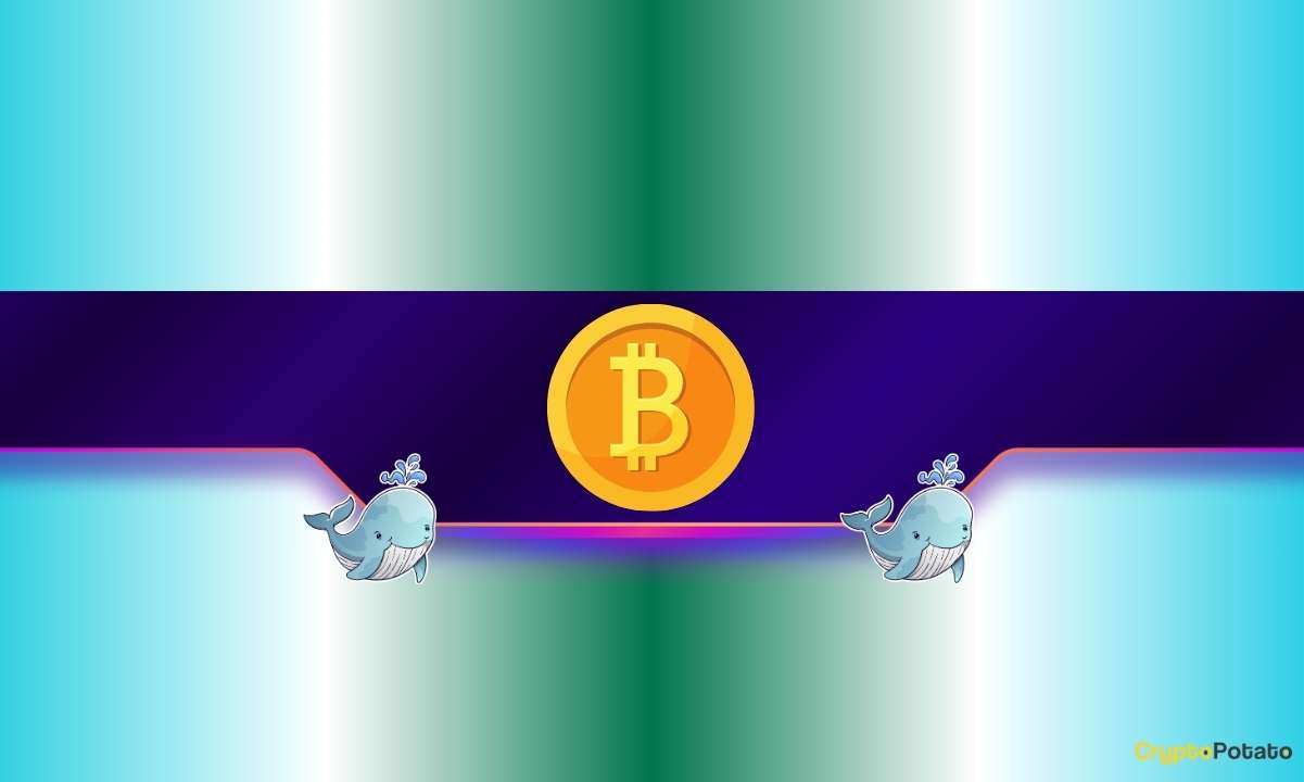 You are currently viewing 30,000 BTC Bought in 4 Days: New Bitcoin Bull Run Incoming?