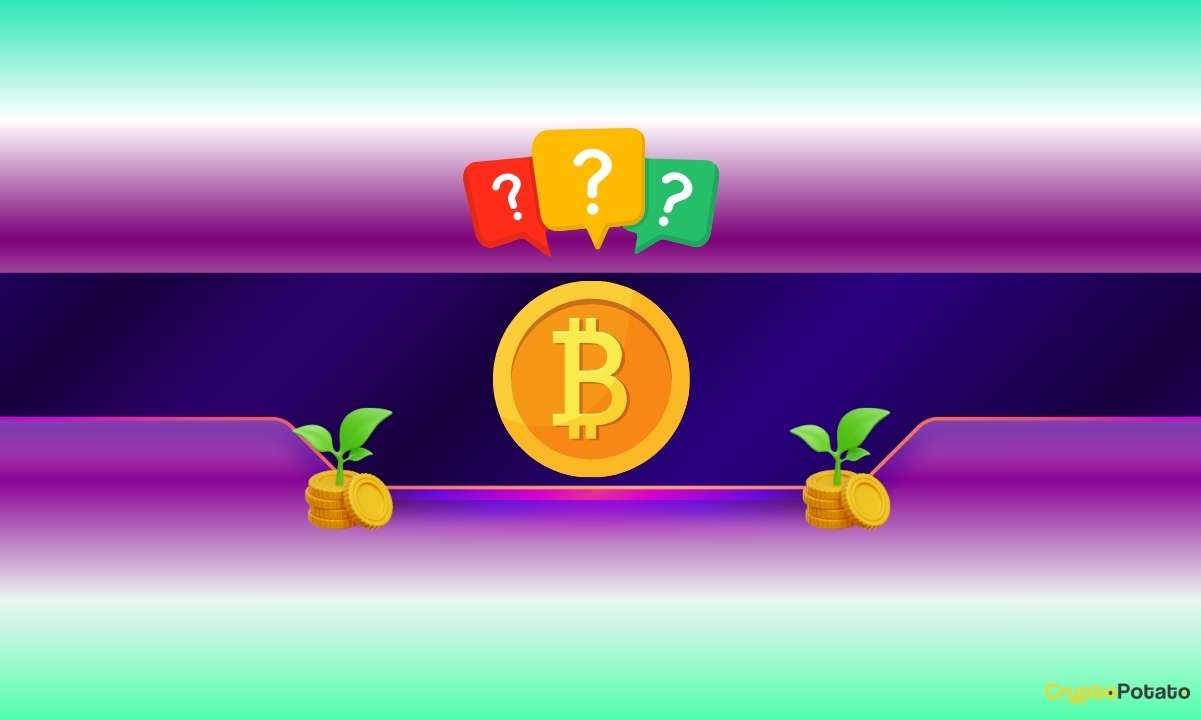 You are currently viewing How Much You Should Invest in Bitcoin (BTC)? Veteran Trader Peter Brandt Weighs in