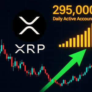 Read more about the article XRP Ledger Hits 295K Daily Users—Why This May Be a Setup for a $3 XRP Comeback