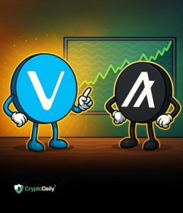 Read more about the article SUI Has Shown Positive Gains Recently; Can Toncoin Follow Its Lead and Break Key Resistance?