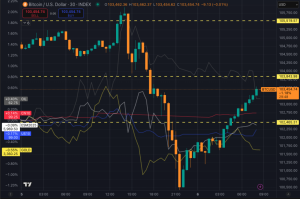 Read more about the article Nearly $1 billion liquidated as Bitcoin recovers from $100k dip during Elon Musk, Donald Trump breakup