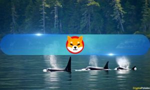 Read more about the article Shiba Inu (SHIB) Leads Whale Accumulation Wave Amidst Rising Geopolitical Tensions