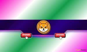 Read more about the article Shiba Inu (SHIB) Unveils a Key Upgrade to Shibarium: Details Here