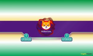 Read more about the article Major Announcement Concerning All Shiba Inu (SHIB) Users: Details