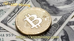 Read more about the article Earn $28,600 in 7 days? BTC holder reveals the secret of cloud mining’s huge profits