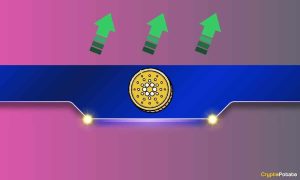 Read more about the article Major Cardano (ADA) Community Announcement: Details