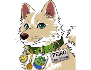 Read more about the article Peiro Community Relaunches $PEIRO with Tiered Airdrop and $1M Charity Mission
