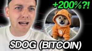 Read more about the article Is a Dog (Bitcoin) Rally Incoming? Here’s What Smart Traders Are Buying Next