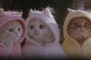 Read more about the article Midjourney presents V1: the new frontier of AI video generation