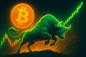 Read more about the article There is still too much enthusiasm about the price of Bitcoin