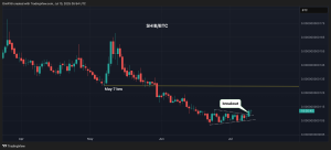 Read more about the article Shiba Inu Smashes Triangle Pattern Against Bitcoin, But Looks Weak Against Dogecoin