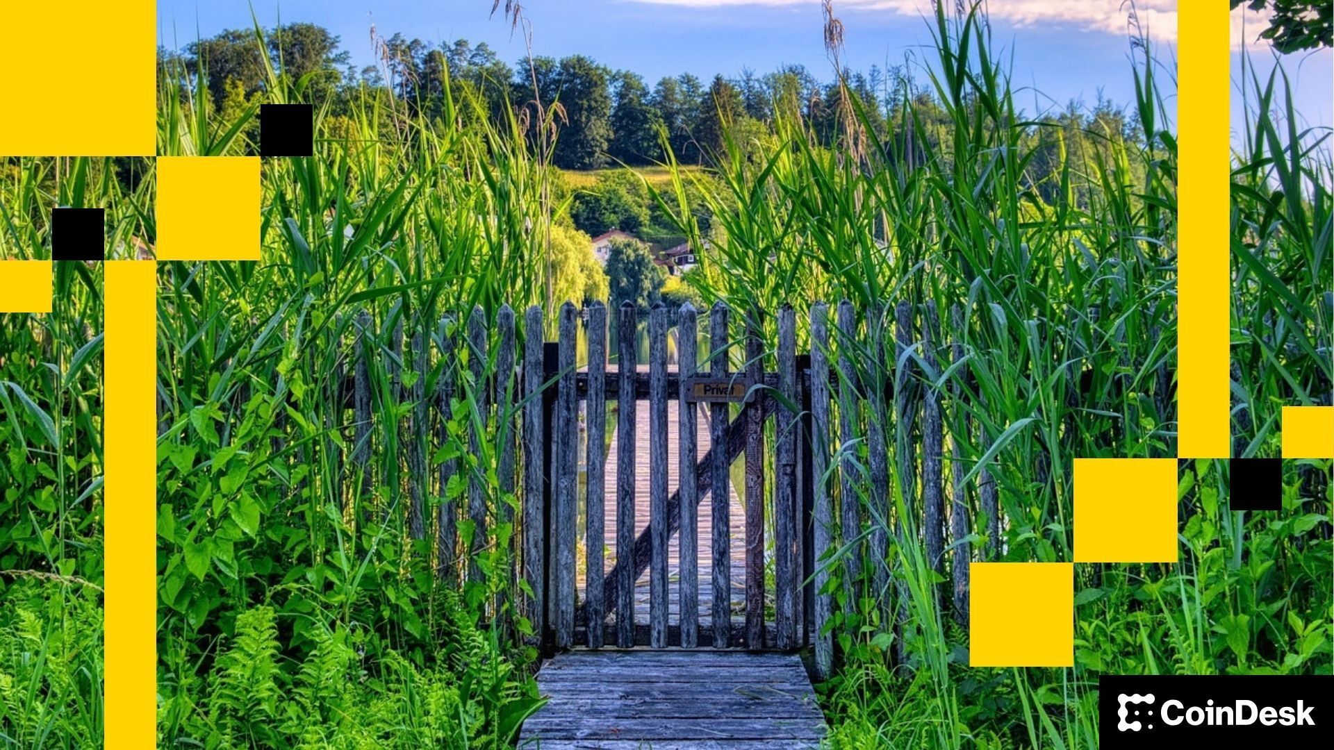 Read more about the article Gated Communities Are Actually Great for Crypto—Marc Vanlerberghe