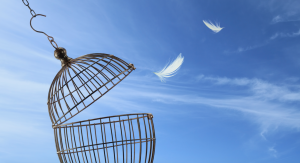 Read more about the article Ether, Dogecoin Lead Crypto Gains as Firms Signal 'Prime' Breakout Chance for Market