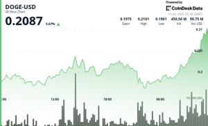 Read more about the article DOGE Advances 5% on Late-Session Rally as Whale Activity Returns