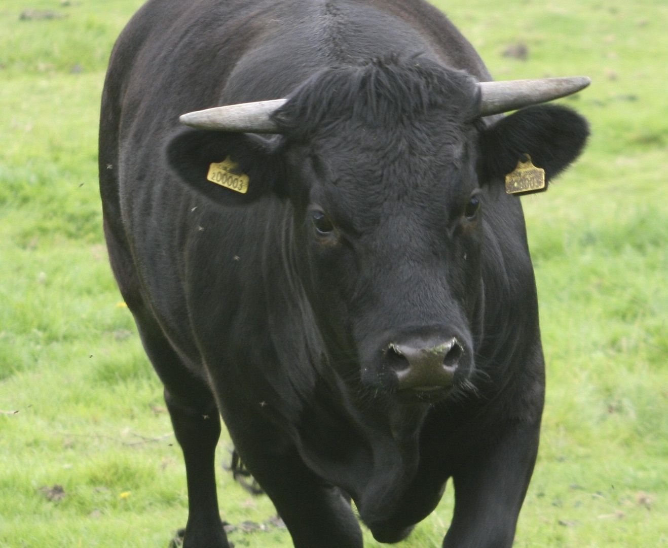 You are currently viewing Bitcoin on the Brink of All-Time High as Macro Tailwinds Gather Strength