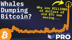 Read more about the article Are Bitcoin Whales Dumping Their BTC?