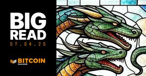 Read more about the article Bitcoin Treasury Companies Are Bubbles