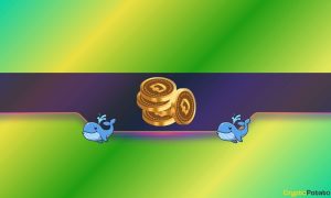 Read more about the article DOGE Price Ships to 2-Month High: How Bullish Are Whales and Traders?