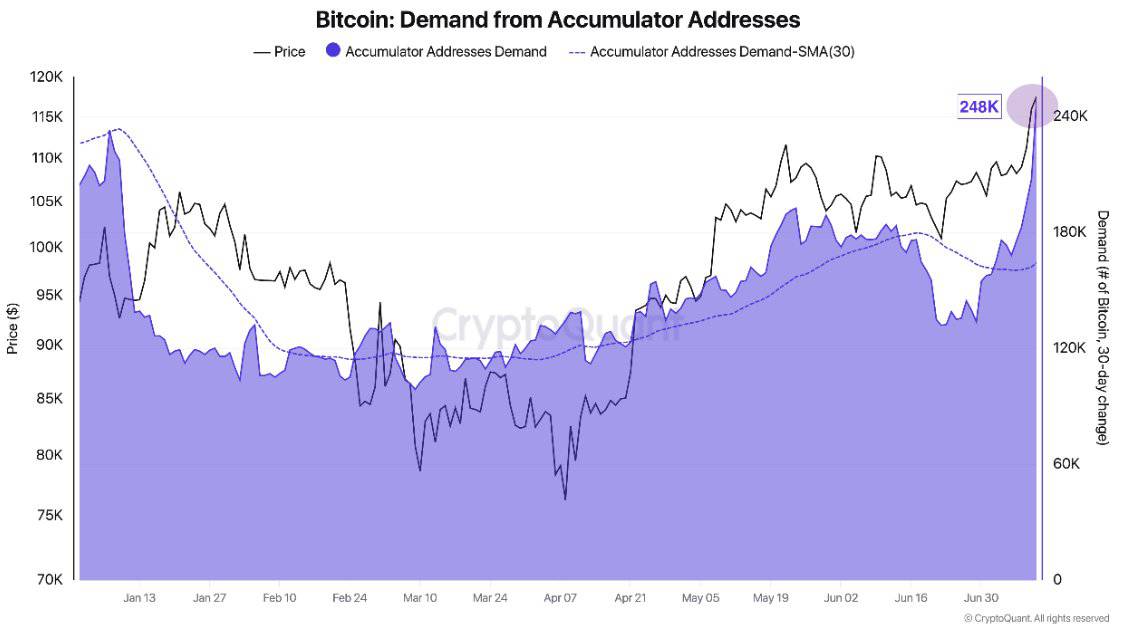 You are currently viewing Bitcoin Whales Scoop 248K BTC This Month as Bulls Eye $200K