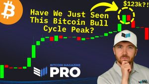 Read more about the article Have We Just Seen the Bitcoin Cycle Peak?