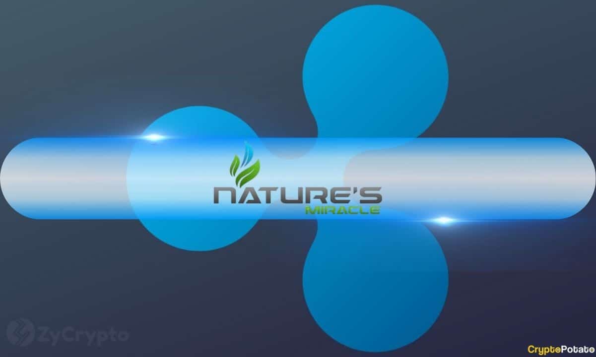 You are currently viewing Ripple’s XRP Joins the Farm: Agricultural Company Adds It to Treasury