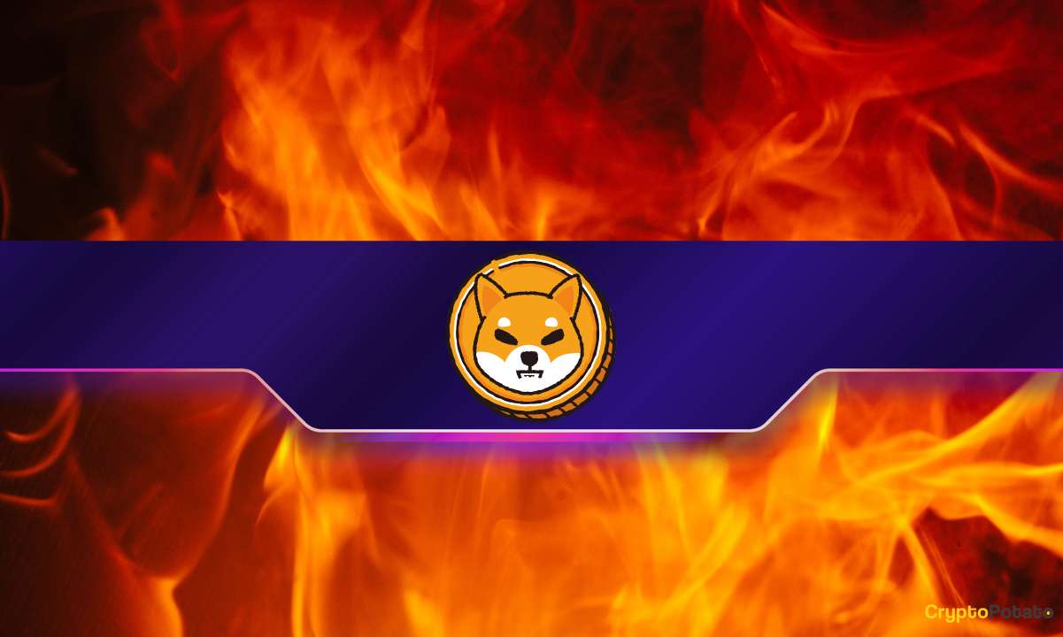 You are currently viewing Shiba Inu (SHIB) Burn Rate Explodes by 2,000% Weekly: Further Price Rally Incoming?