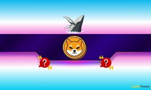 Read more about the article Shiba Inu (SHIB) Outpaces Ethereum (ETH) and Pepe (PEPE): But Not in the Way You Might Think