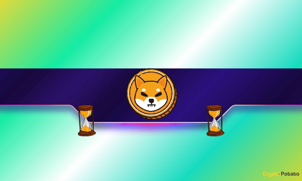 You are currently viewing Shiba Inu (SHIB) Spikes 15% Weekly – So Why Are Most Holders Still Losing?