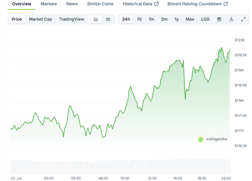 Read more about the article How High Can Bitcoin (BTC) Price Go This Cycle?
