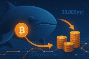 Read more about the article Bitcoin Whale: Moved 30,000 BTC dormant for 3.2 billion dollars