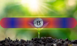 Read more about the article Less Than 1 BTC Might Be Enough to Retire: Here’s Why