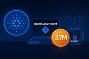 Read more about the article Cardano conquers 37M users on Blockchain.com: what changes now