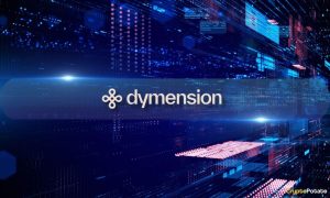Read more about the article Dymension Is Preparing For Its Season 2 Airdrop & Beyond Upgrade