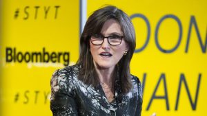 Read more about the article Cathie Wood's ARK: Bitcoin's Bullish Momentum Slows as Long-Term Holder Stacks Hit Record