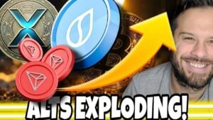 Read more about the article Google Trends Signal a Massive Altseason – Here’s What Crypto Traders Are Buying Now